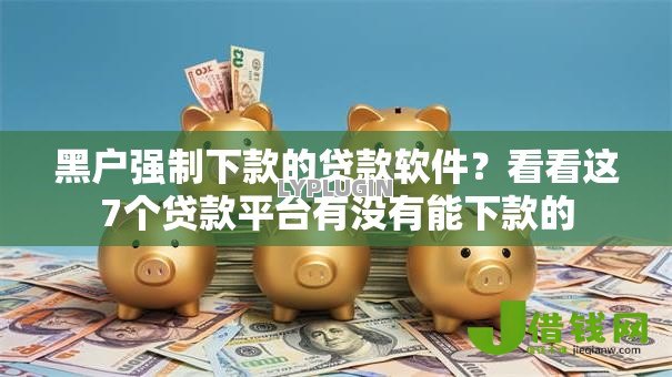 黑户强制下款的贷款软件？看看这7个贷款平台有没有能下款的