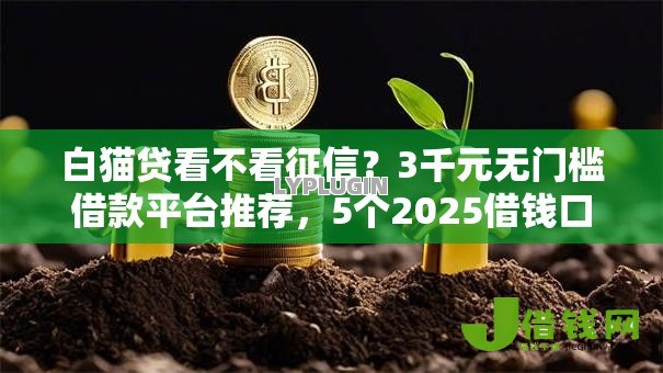 白猫贷看不看征信?3千元无门槛借款平台推荐,5个2025借钱口子必下款盘点 白猫贷看不看征信?3千元无门槛借款平台推荐,5个2025借钱口子必下款盘点