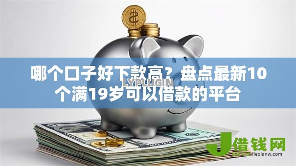 哪个口子好下款高？盘点最新10个满19岁可以借款的平台