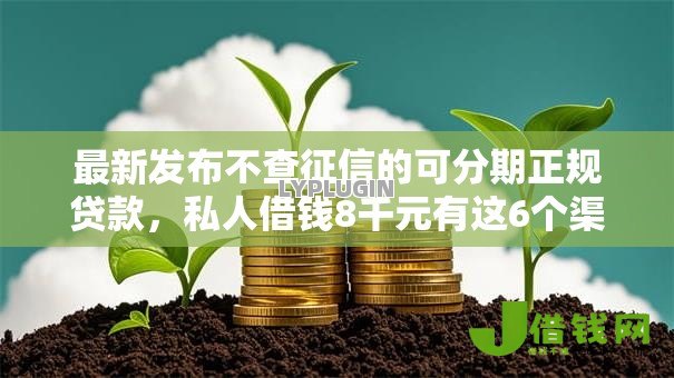 最新发布不查征信的可分期正规贷款，私人借钱8千元有这6个渠道