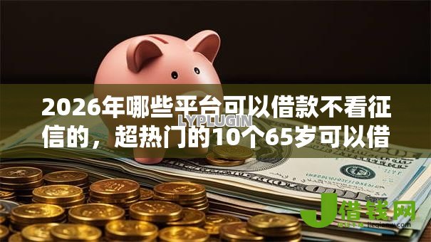2026年哪些平台可以借款不看征信的,超热门的10个65岁可以借款的平台推荐 2026年哪些平台可以借款不看征信的,超热门的10个65岁可以借款的平台推荐