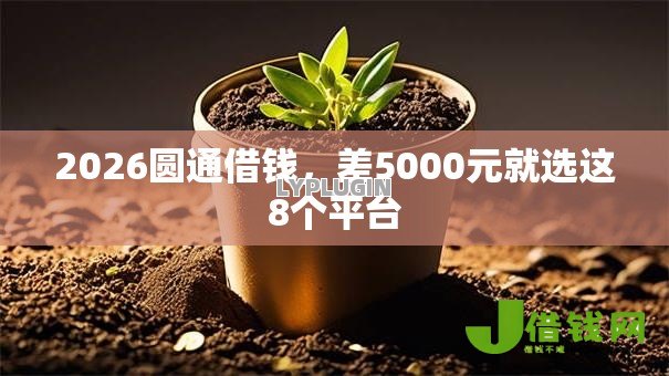 2026圆通借钱,差5000元就选这8个平台 2026圆通借钱,差5000元就选这8个平台