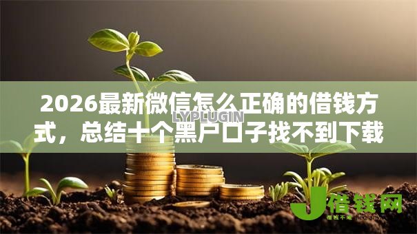 2026最新微信怎么正确的借钱方式,总结十个黑户口子找不到下载! 2026最新微信怎么正确的借钱方式,总结十个黑户口子找不到下载!