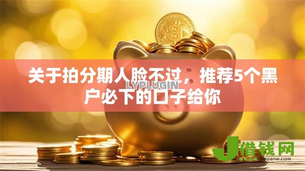 关于拍分期人脸不过,推荐5个黑户必下的口子给你 关于拍分期人脸不过,推荐5个黑户必下的口子给你
