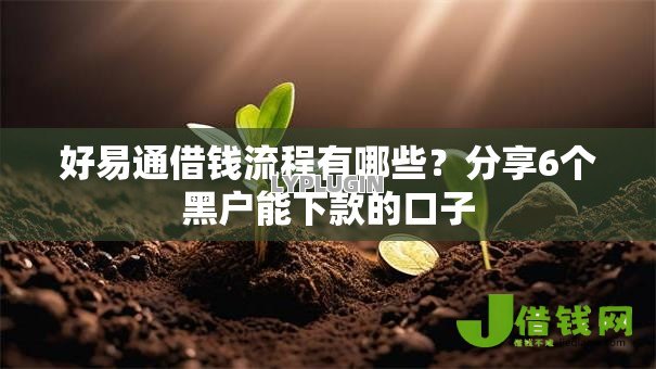 好易通借钱流程有哪些？分享6个黑户能下款的口子