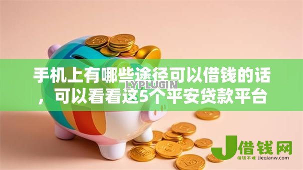 手机上有哪些途径可以借钱的话，可以看看这5个平安贷款平台