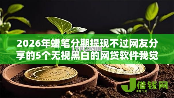 2026年蜡笔分期提现不过网友分享的5个无视黑白的网贷软件我觉得不错！