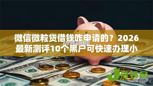 微信微粒贷借钱咋申请的?2026最新测评10个黑户可快速办理小额贷款业务的口子 微信微粒贷借钱咋申请的?2026最新测评10个黑户可快速办理小额贷款业务的口子