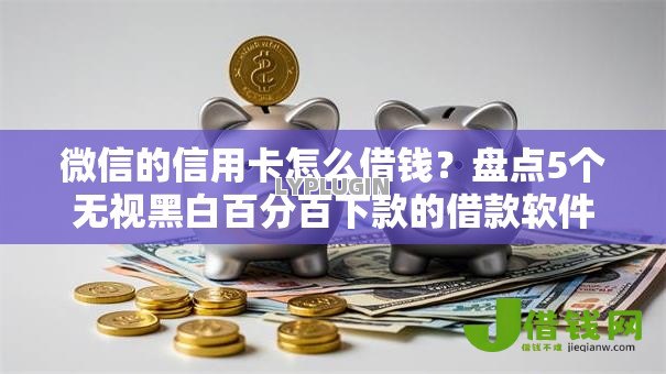 微信的信用卡怎么借钱?盘点5个无视黑白百分百下款的借款软件给你参考 微信的信用卡怎么借钱?盘点5个无视黑白百分百下款的借款软件给你参考
