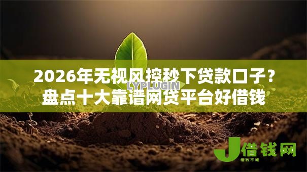 2026年无视风控秒下贷款口子?盘点十大靠谱网贷平台好借钱 2026年无视风控秒下贷款口子?盘点十大靠谱网贷平台好借钱