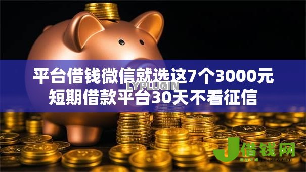 平台借钱微信就选这7个3000元短期借款平台30天不看征信