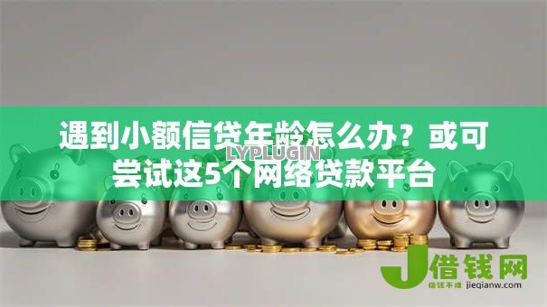 遇到小额信贷年龄怎么办?或可尝试这5个网络贷款平台 遇到小额信贷年龄怎么办?或可尝试这5个网络贷款平台