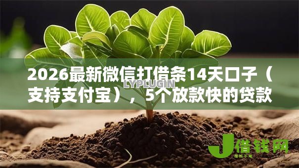 2026最新微信打借条14天口子(支持支付宝),5个放款快的贷款平台无私分享 2026最新微信打借条14天口子(支持支付宝),5个放款快的贷款平台无私分享