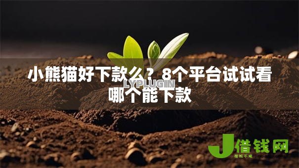 小熊猫好下款么?8个平台试试看哪个能下款 小熊猫好下款么?8个平台试试看哪个能下款