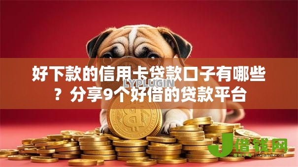 好下款的信用卡贷款口子有哪些？分享9个好借的贷款平台