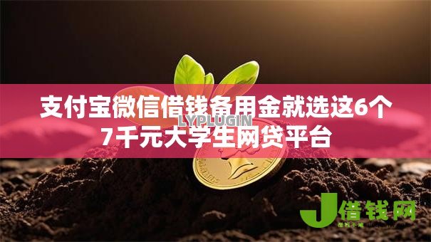 支付宝微信借钱备用金就选这6个7千元大学生网贷平台 支付宝微信借钱备用金就选这6个7千元大学生网贷平台