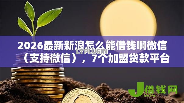 2026最新新浪怎么能借钱啊微信(支持微信),7个加盟贷款平台做代理无私分享 2026最新新浪怎么能借钱啊微信(支持微信),7个加盟贷款平台做代理无私分享