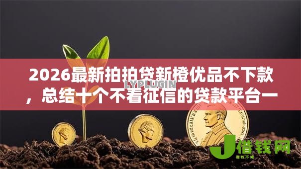 2026最新拍拍贷新橙优品不下款,总结十个不看征信的贷款平台一定能下款! 2026最新拍拍贷新橙优品不下款,总结十个不看征信的贷款平台一定能下款!