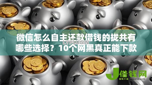 微信怎么自主还款借钱的拢共有哪些选择？10个网黑真正能下款的平台详解