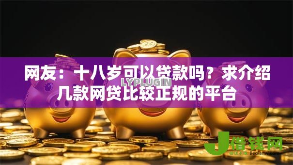 网友：十八岁可以贷款吗？求介绍几款网贷比较正规的平台