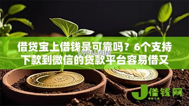 借贷宝上借钱是可靠吗？6个支持下款到微信的贷款平台容易借又安全利息低