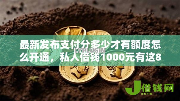 最新发布支付分多少才有额度怎么开通，私人借钱1000元有这8个渠道