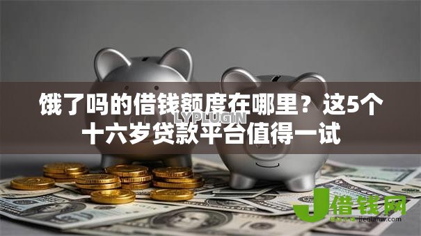 饿了吗的借钱额度在哪里?这5个十六岁贷款平台值得一试 饿了吗的借钱额度在哪里?这5个十六岁贷款平台值得一试