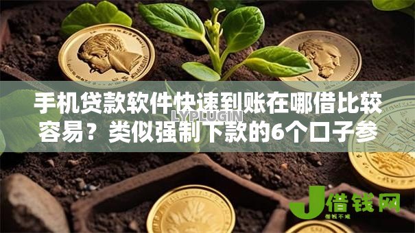 手机贷款软件快速到账在哪借比较容易？类似强制下款的6个口子参考