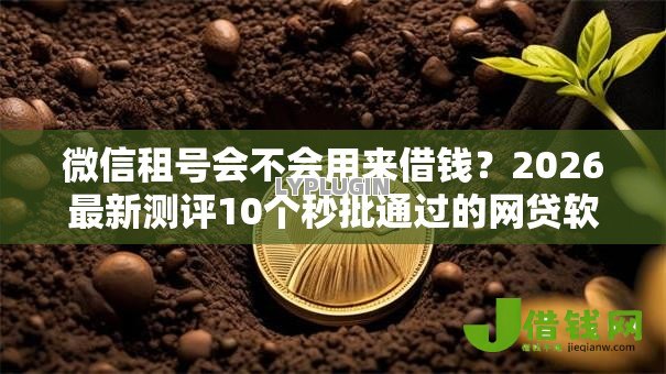 微信租号会不会用来借钱？2026最新测评10个秒批通过的网贷软件