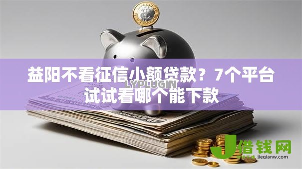 益阳不看征信小额贷款？7个平台试试看哪个能下款