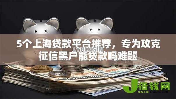 5个上海贷款平台推荐,专为攻克征信黑户能贷款吗难题 5个上海贷款平台推荐,专为攻克征信黑户能贷款吗难题