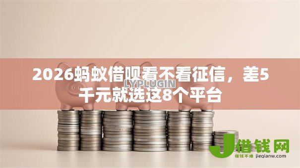 2026蚂蚁借呗看不看征信,差5千元就选这8个平台 2026蚂蚁借呗看不看征信,差5千元就选这8个平台