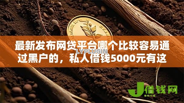 最新发布网贷平台哪个比较容易通过黑户的,私人借钱5000元有这6个渠道 最新发布网贷平台哪个比较容易通过黑户的,私人借钱5000元有这6个渠道