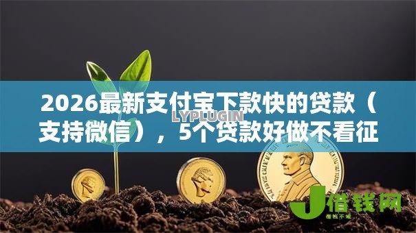 2026最新支付宝下款快的贷款(支持微信),5个贷款好做不看征信的口子无私分享 2026最新支付宝下款快的贷款(支持微信),5个贷款好做不看征信的口子无私分享