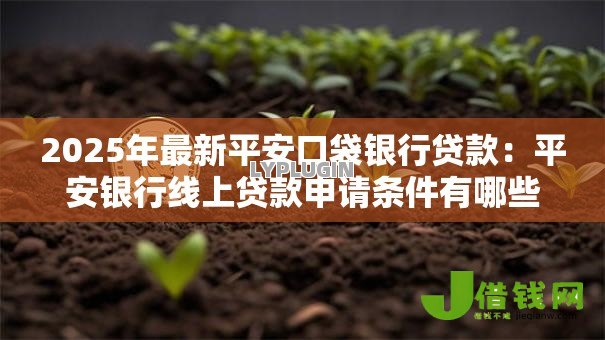 2025年最新平安口袋银行贷款:平安银行线上贷款申请条件有哪些 2025年最新平安口袋银行贷款:平安银行线上贷款申请条件有哪些