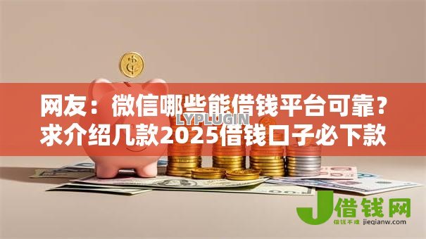 网友:微信哪些能借钱平台可靠?求介绍几款2025借钱口子必下款 网友:微信哪些能借钱平台可靠?求介绍几款2025借钱口子必下款