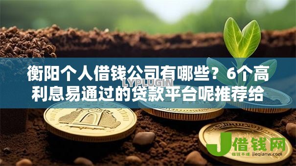 衡阳个人借钱公司有哪些?6个高利息易通过的贷款平台呢推荐给你 衡阳个人借钱公司有哪些?6个高利息易通过的贷款平台呢推荐给你