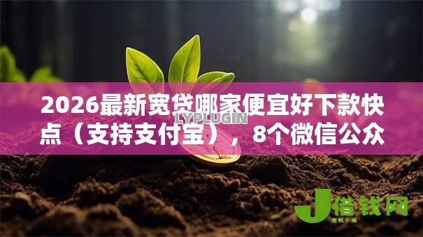2026最新宽贷哪家便宜好下款快点(支持支付宝),8个微信公众号黑启平台还可以贷款无私分享 2026最新宽贷哪家便宜好下款快点(支持支付宝),8个微信公众号黑启平台还可以贷款无私分享