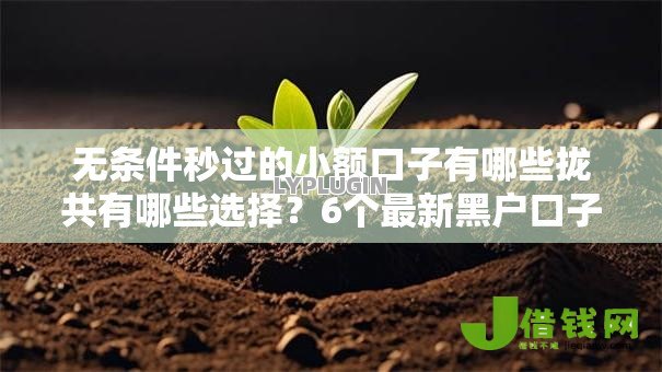 无条件秒过的小额口子有哪些拢共有哪些选择？6个最新黑户口子人人2500-3000详解