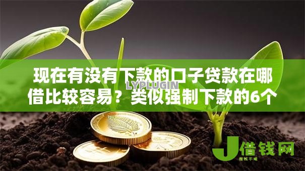 现在有没有下款的口子贷款在哪借比较容易？类似强制下款的6个口子参考