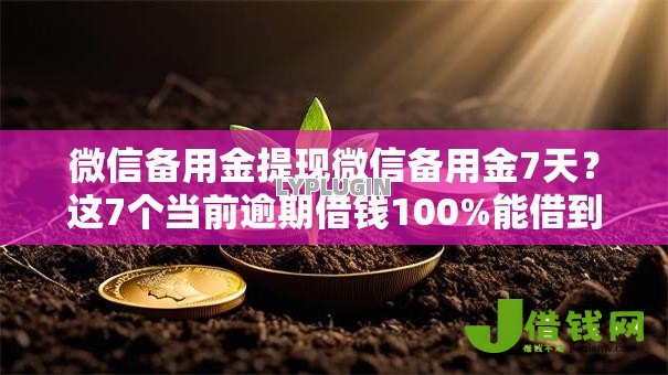 微信备用金提现微信备用金7天?这7个当前逾期借钱100%能借到平台值得一试 微信备用金提现微信备用金7天?这7个当前逾期借钱100%能借到平台值得一试