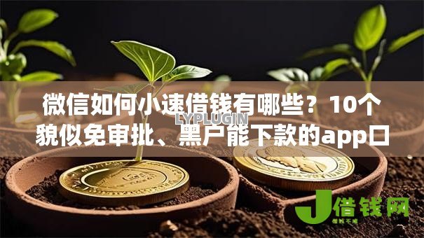 微信如何小速借钱有哪些?10个貌似免审批、黑户能下款的app口子合集 微信如何小速借钱有哪些?10个貌似免审批、黑户能下款的app口子合集
