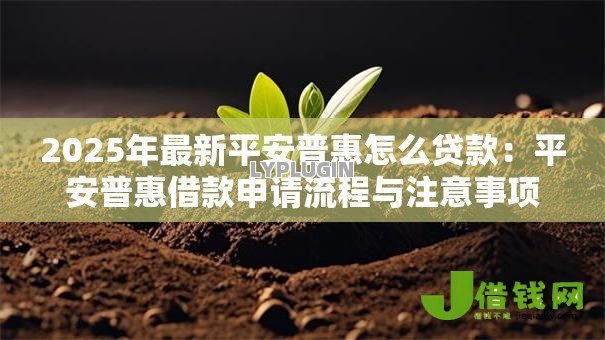 2025年最新平安普惠怎么贷款:平安普惠借款申请流程与注意事项 2025年最新平安普惠怎么贷款:平安普惠借款申请流程与注意事项