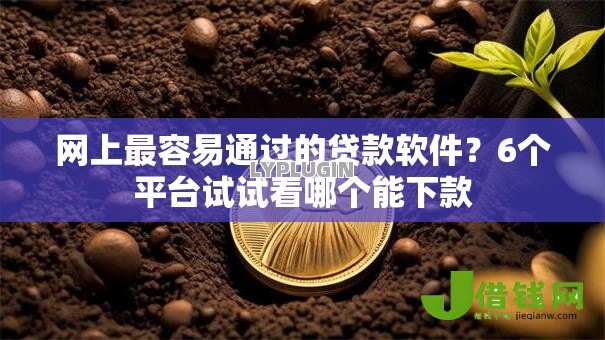 网上最容易通过的贷款软件？6个平台试试看哪个能下款