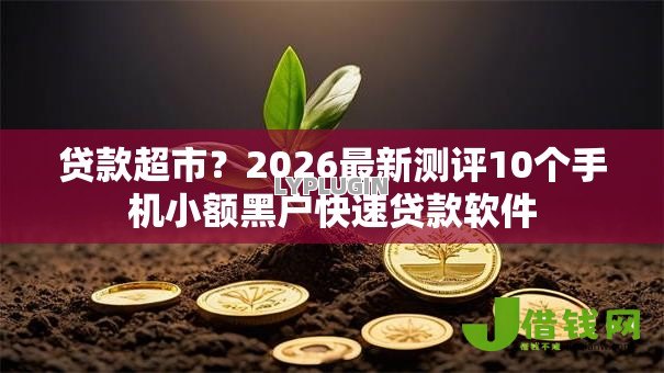 贷款超市？2026最新测评10个手机小额黑户快速贷款软件