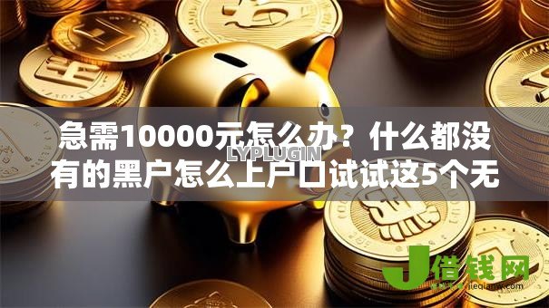 急需10000元怎么办?什么都没有的黑户怎么上户口试试这5个无门槛平台 急需10000元怎么办?什么都没有的黑户怎么上户口试试这5个无门槛平台