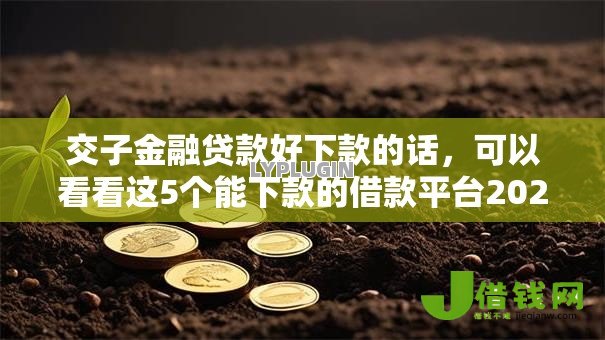 交子金融贷款好下款的话,可以看看这5个能下款的借款平台2025 交子金融贷款好下款的话,可以看看这5个能下款的借款平台2025