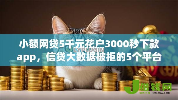 小额网贷5千元花户3000秒下款app，信贷大数据被拒的5个平台介绍