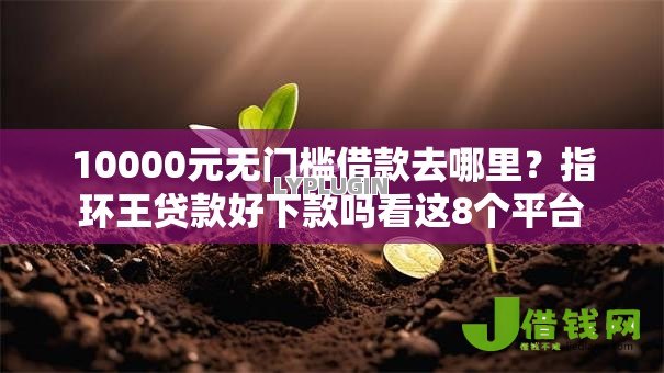 10000元无门槛借款去哪里?指环王贷款好下款吗看这8个平台 10000元无门槛借款去哪里?指环王贷款好下款吗看这8个平台