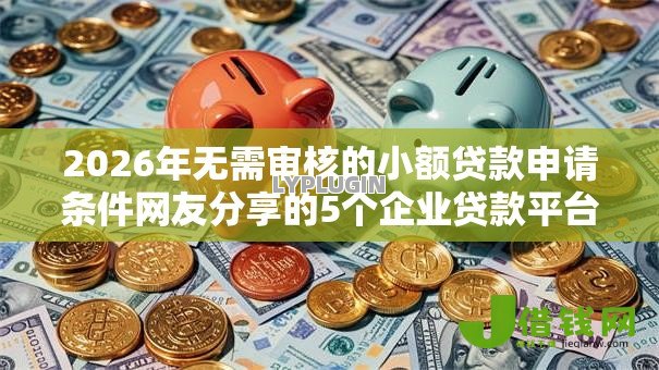 2026年无需审核的小额贷款申请条件网友分享的5个企业贷款平台我觉得不错！